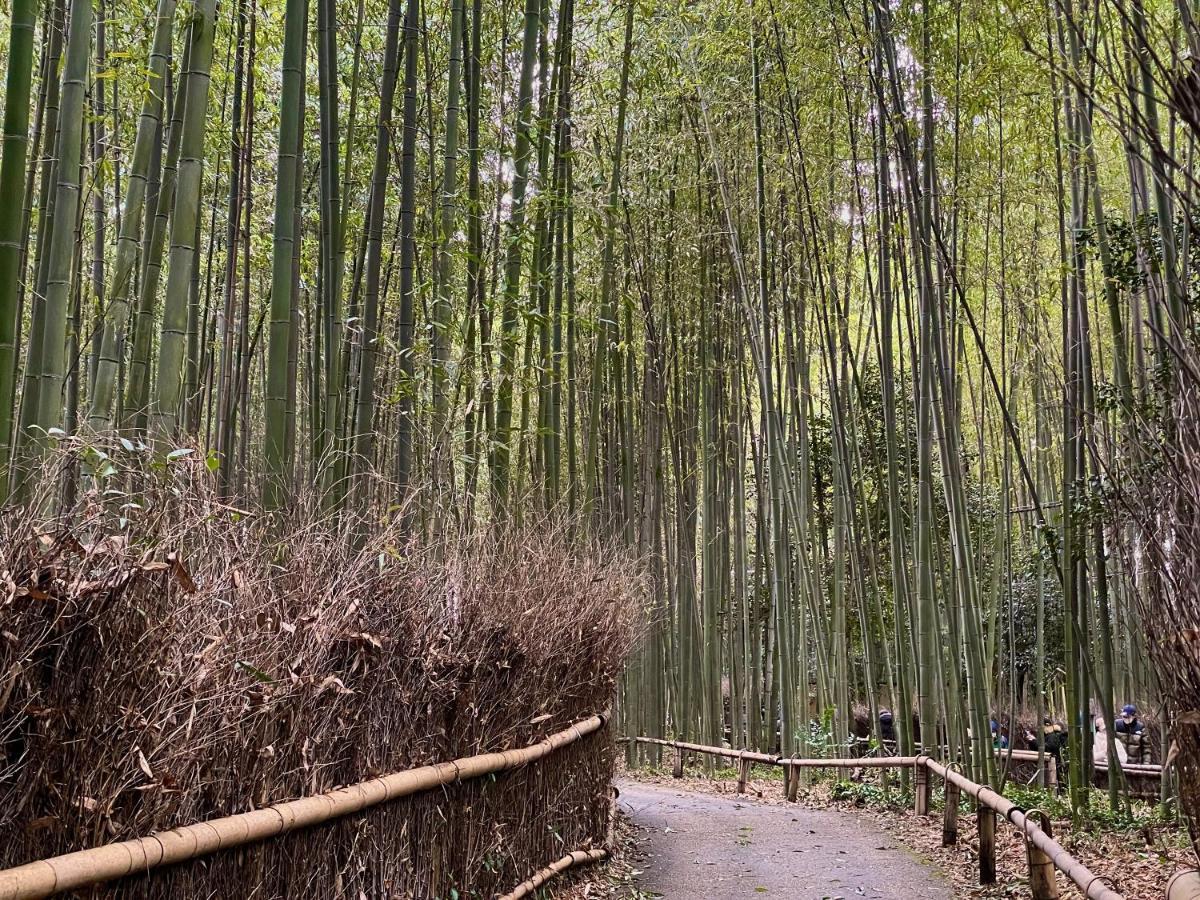 Yado Arashiyama Hotel Kyoto Eksteriør billede